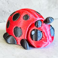 Pocket Pal Ladybug