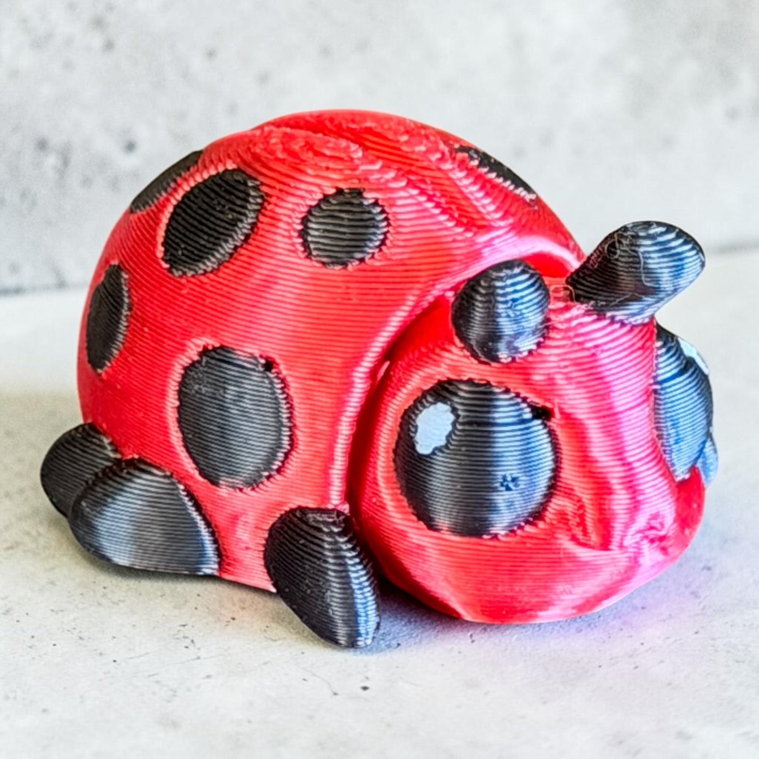 Pocket Pal Ladybug