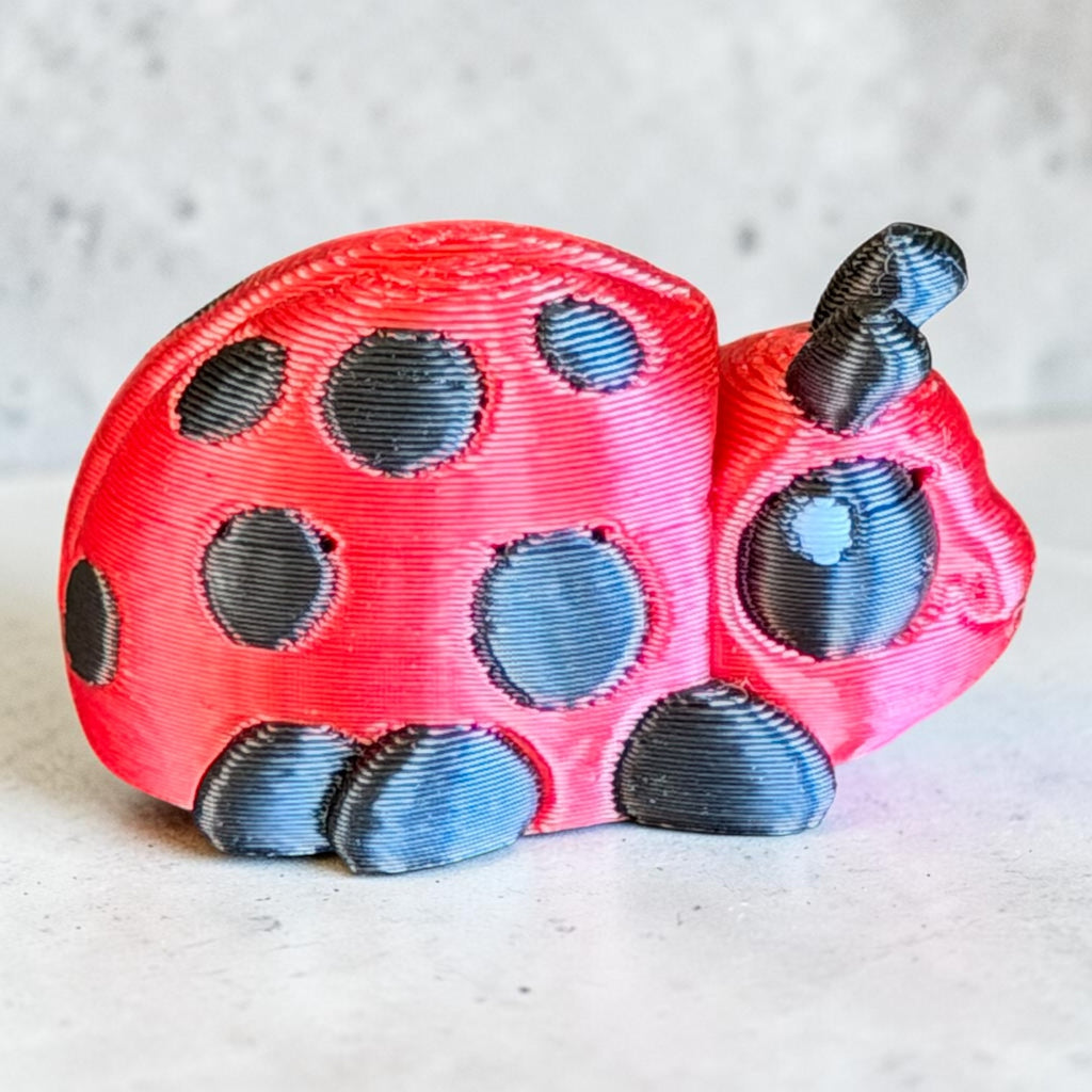 Pocket Pal Ladybug