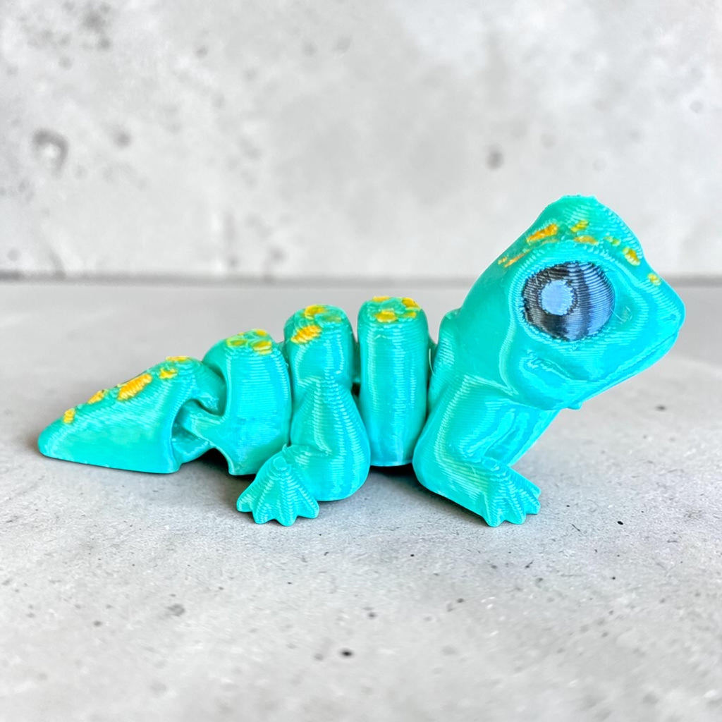 Pocket Pal Gecko