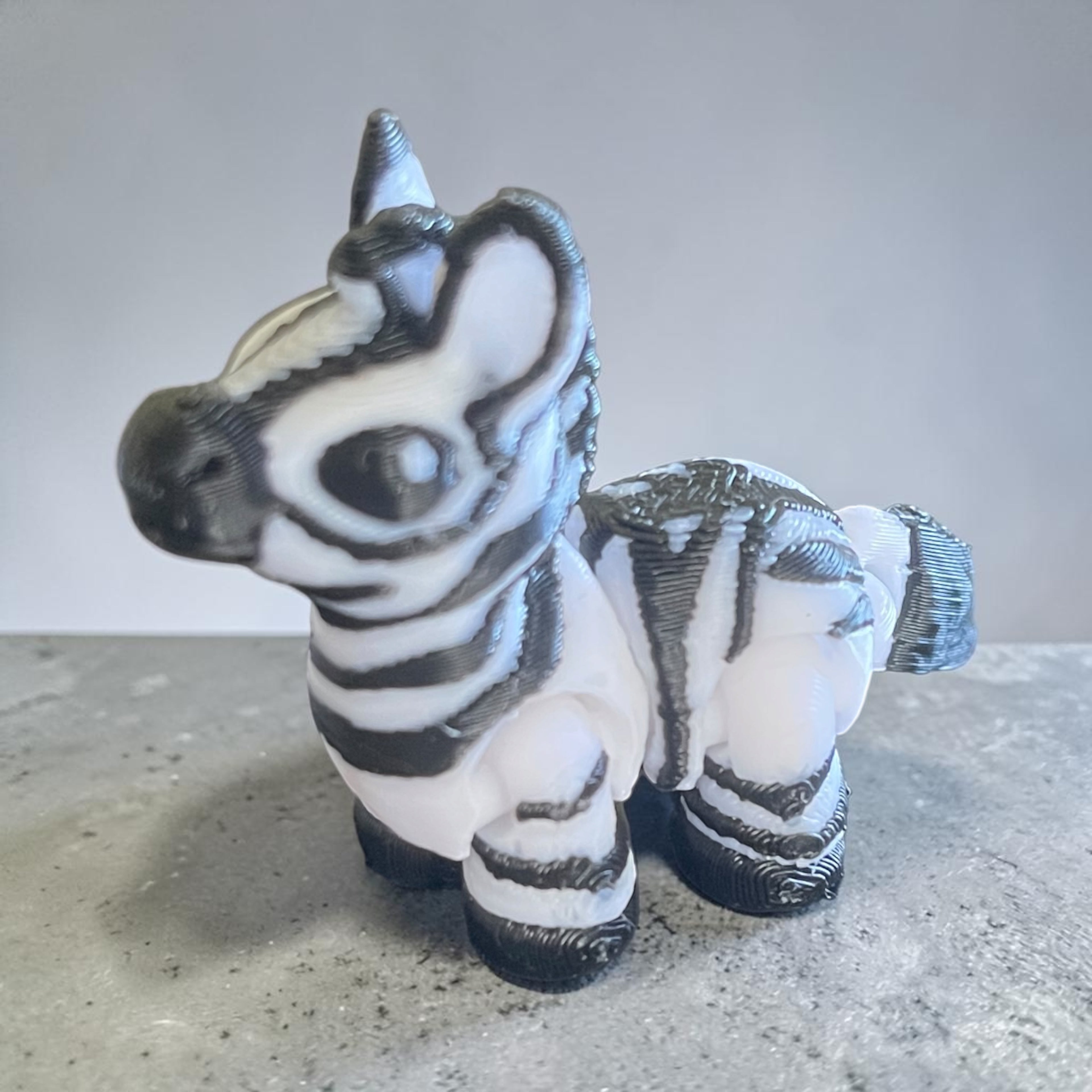 Pocket Pal Zebra